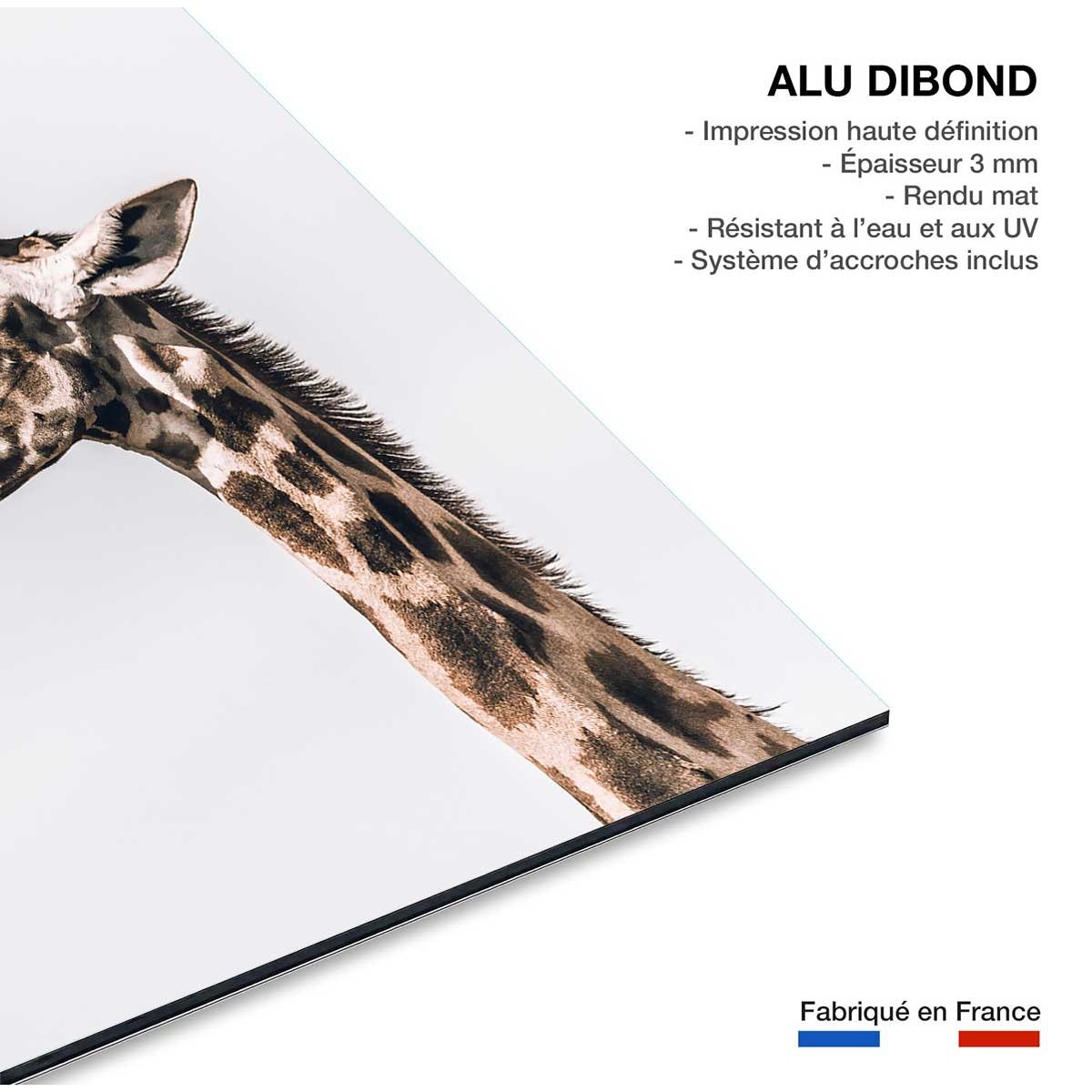 Tableau animaux prendre de la hauteur tableau alu dibond, HEXOA