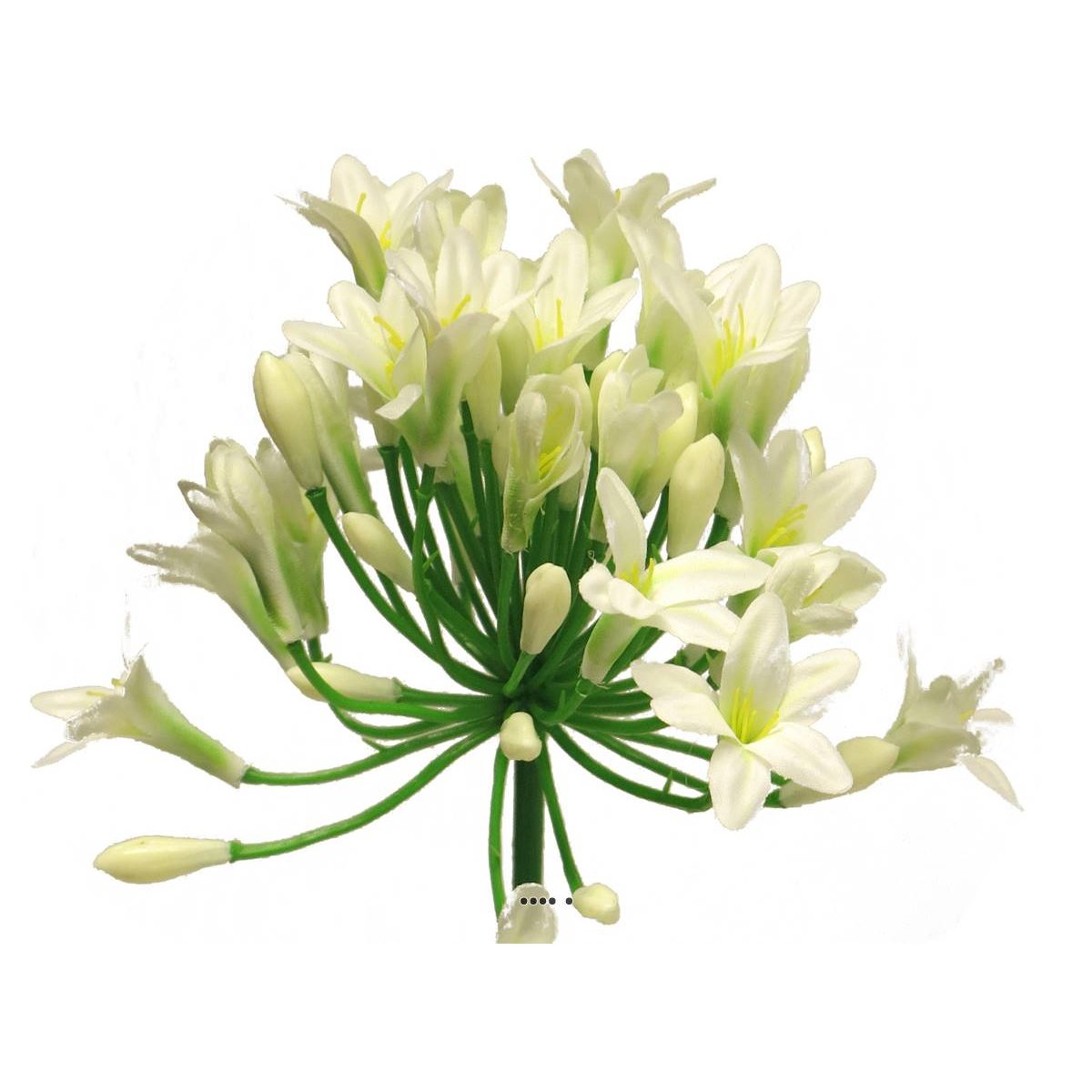 Agapanthe artificielle en tige H75cm, crème, ARTIFICIELLES