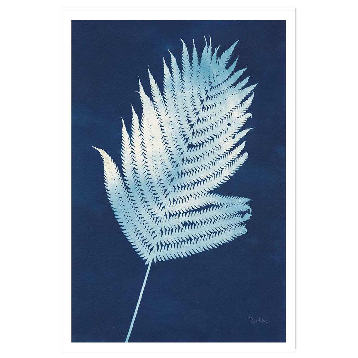 Affiche Fougère d'argent affiche seule, HEXOA