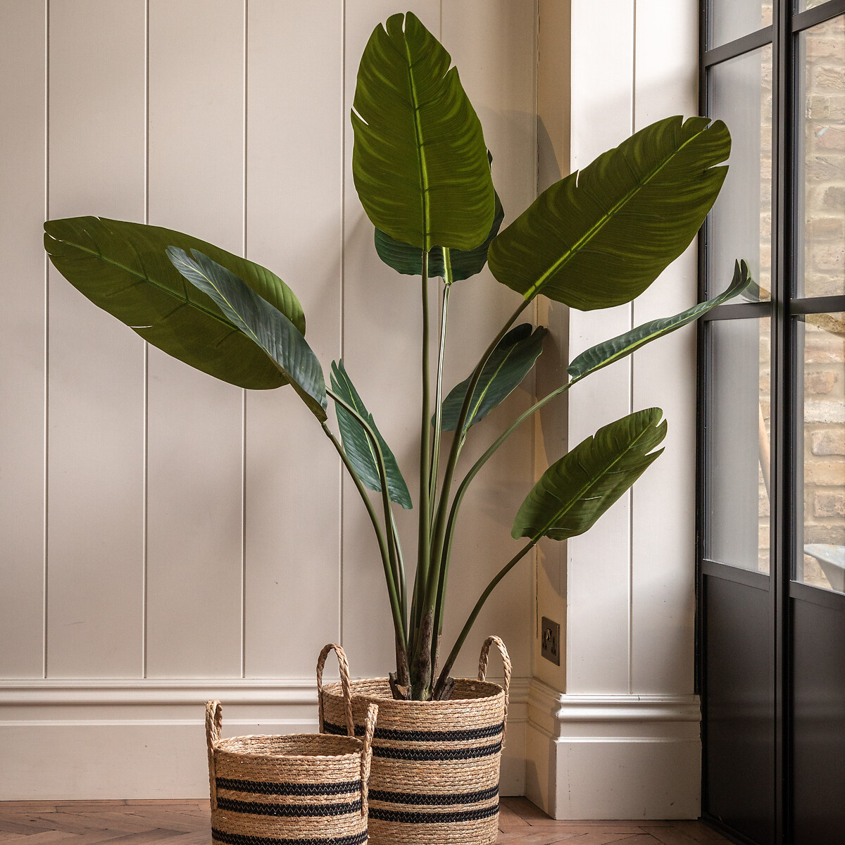 4ft Potted Travellers Palm Tree green, ÉDITÉ