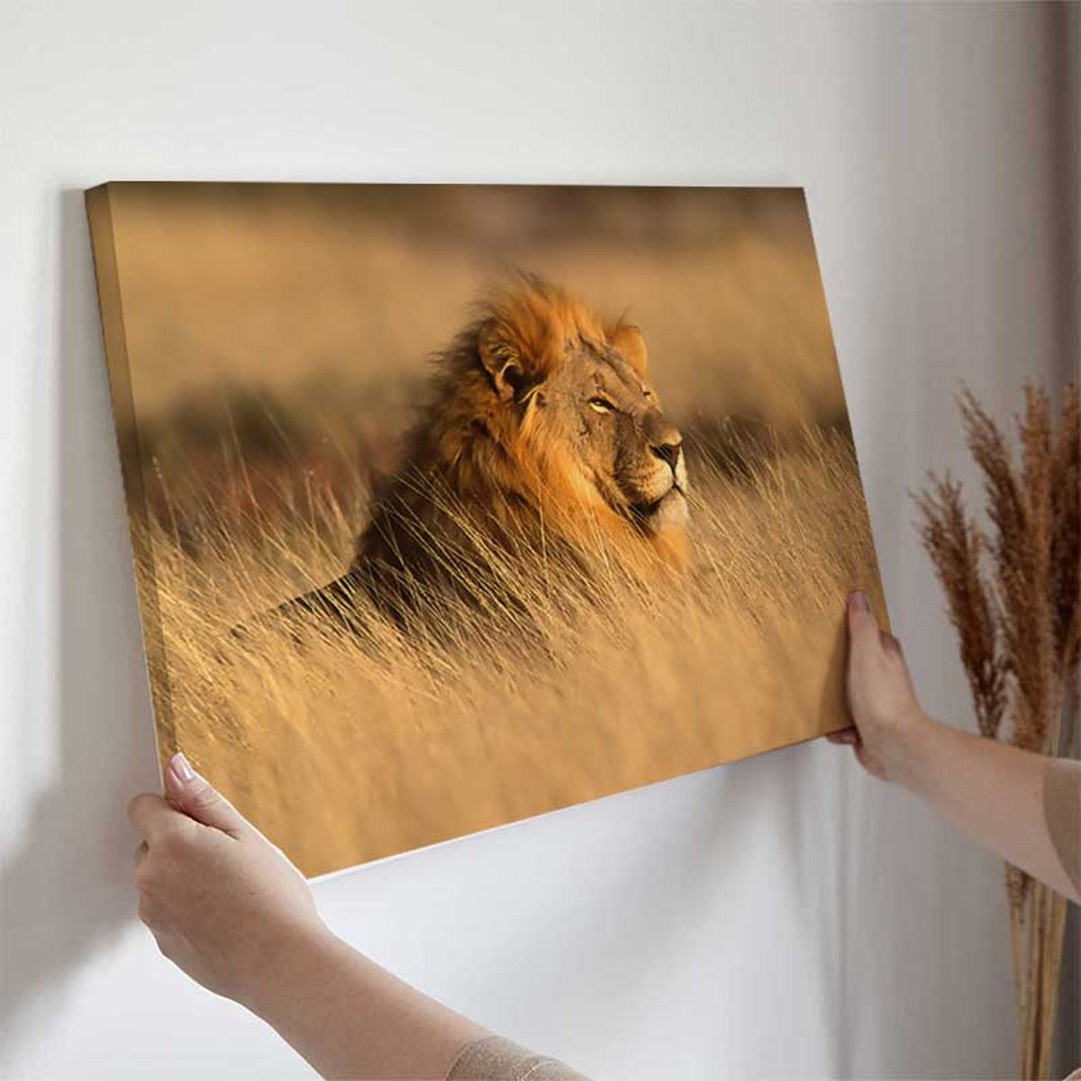 Tableau lion majestueux dans la savane dorée toile imprimée, HEXOA