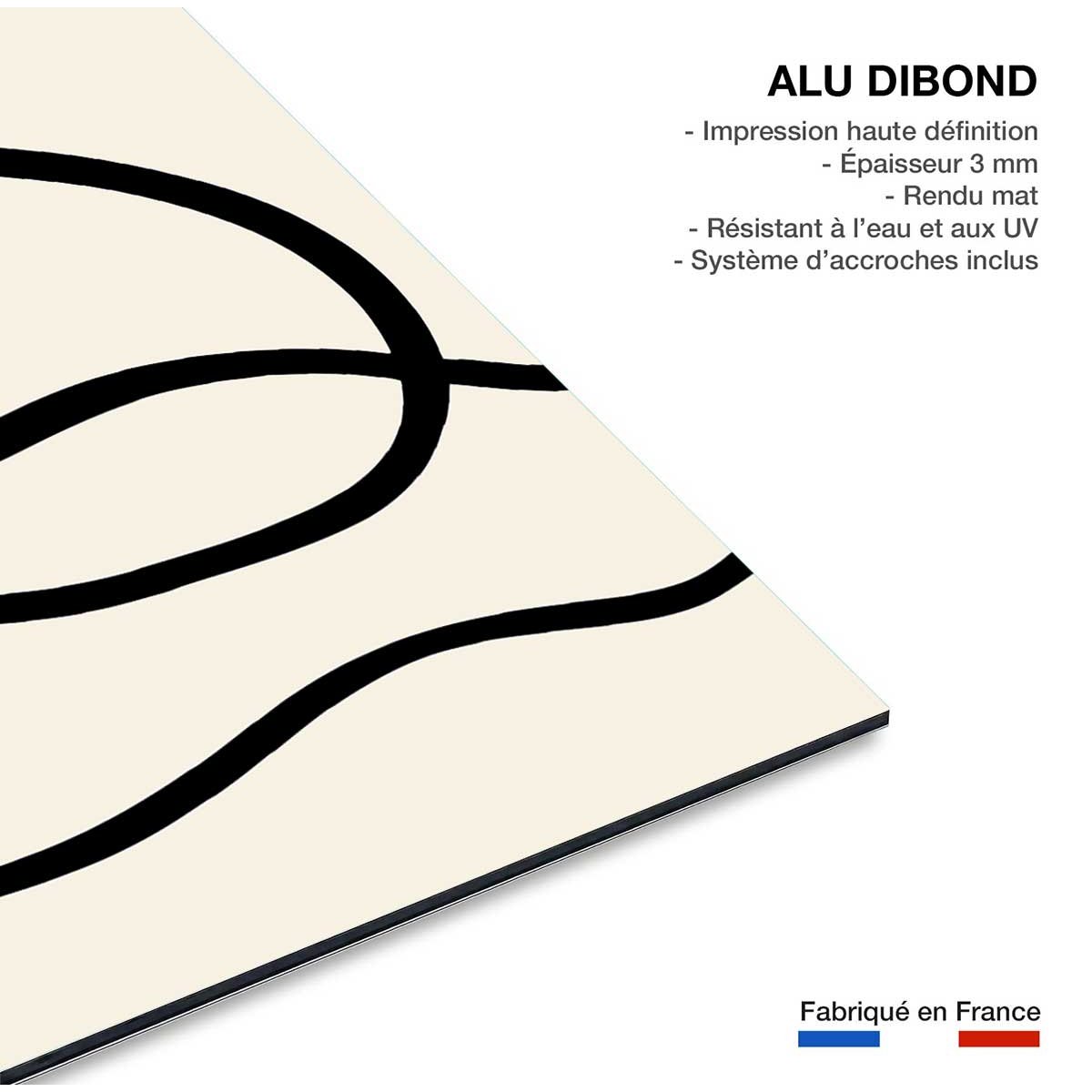 Tableau line art bold III tableau alu dibond, HEXOA