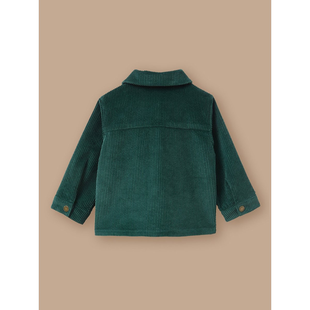 Surchemise en velours vert pin, CYRILLUS