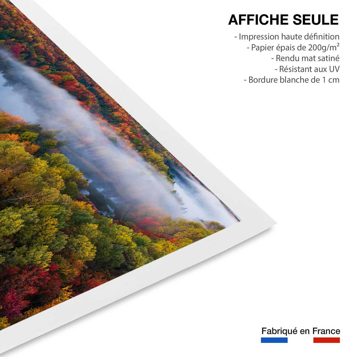 Affiche forêt et symphonie d'automne affiche seule, HEXOA