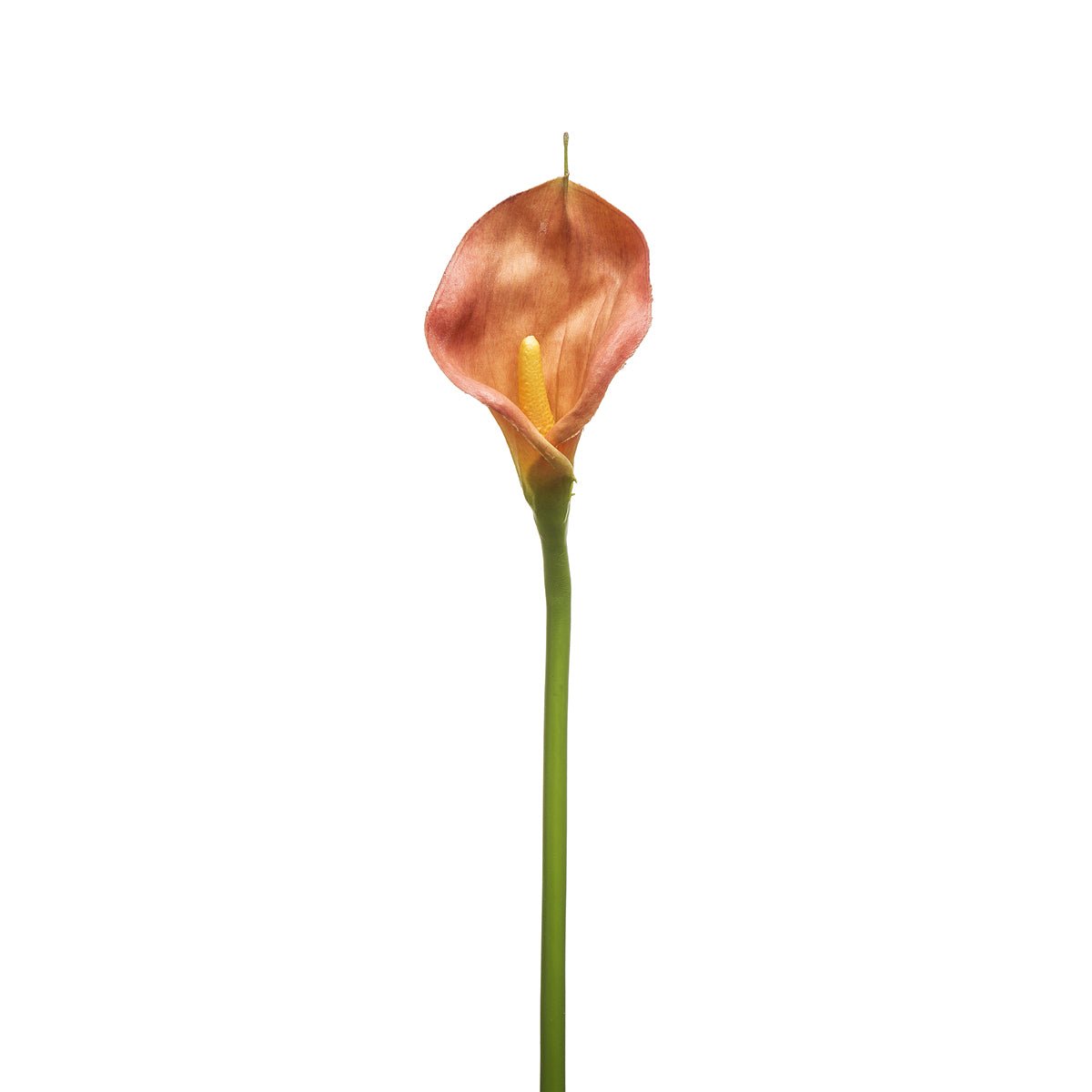 Tige d'arum artificielle H78 orange, SIA DECO