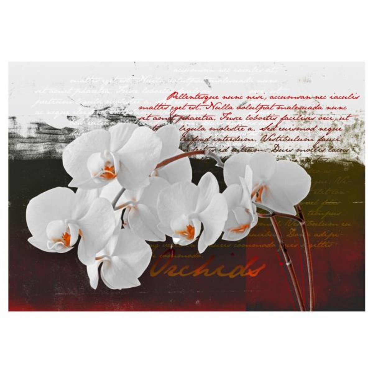 Papier peint intissé panoramique Fleurs Diary and orchid violet, EDEN