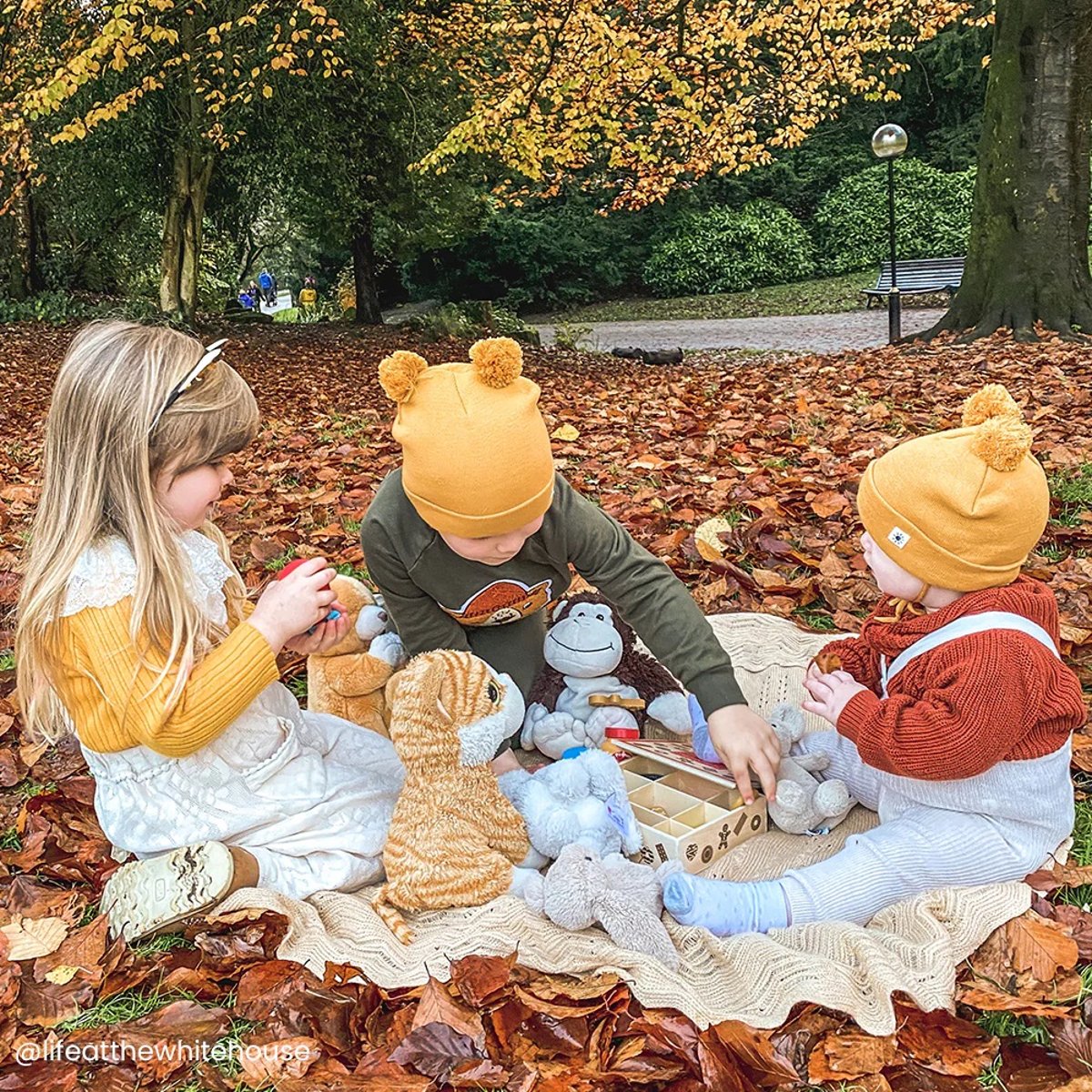 Boîte à biscuits en bois beige, BIGJIGS