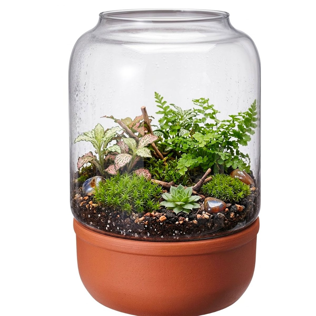 Terrarium terre cuite et verre recyclé 20x20x30cm transparent, WADIGA