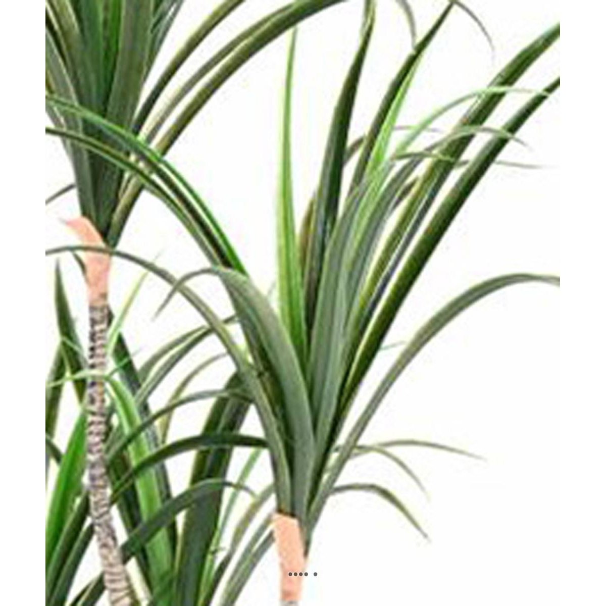 Dracaena marginata artificiel en pot H 130 cm v002239, ARTIFICIELLES