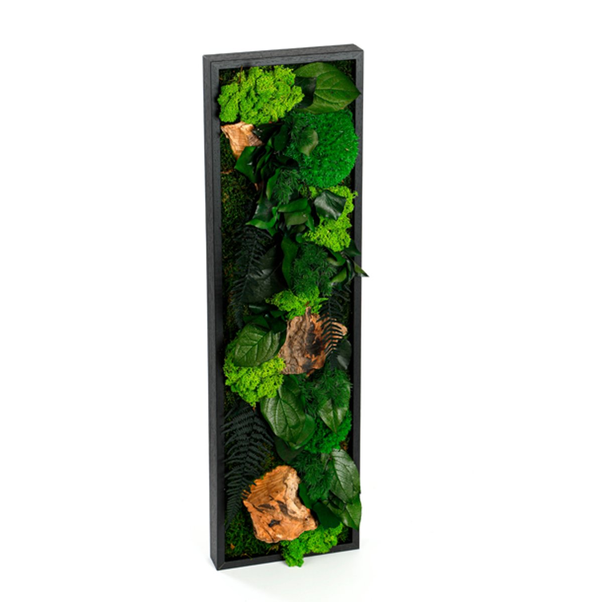 Grand tableau végétaux stabilisés 20x70 multicolore, NATURE ET DECOUVERTES
