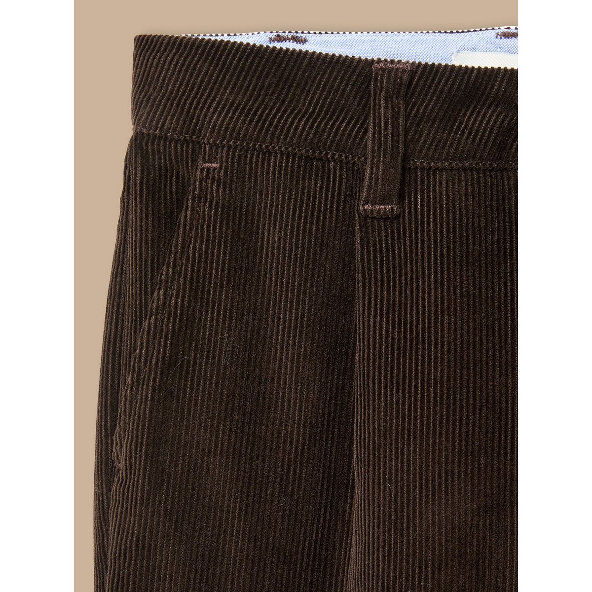 Pantalon Chino  en velours chocolat, CYRILLUS