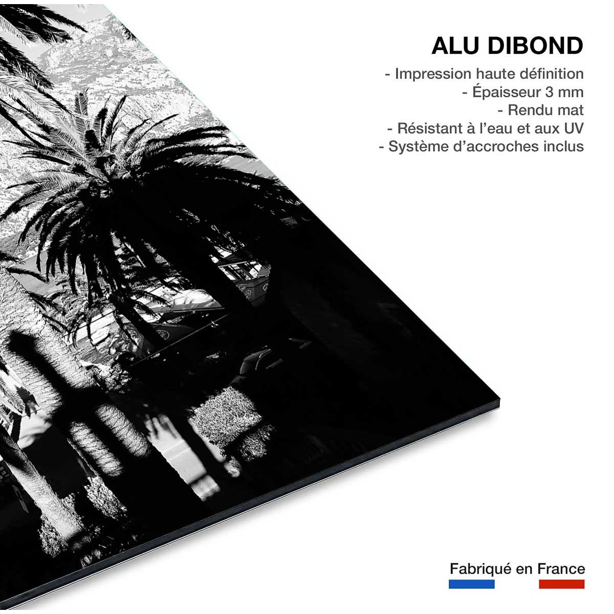 Tableau noir et blanc palmiers monténégro tableau alu dibond, HEXOA