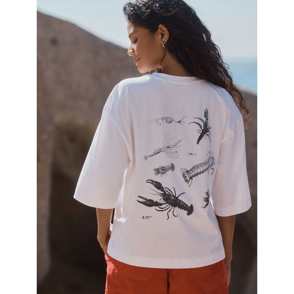 T-shirt à manches mi-longues licence officielle blanche ashmoleon, NEXT