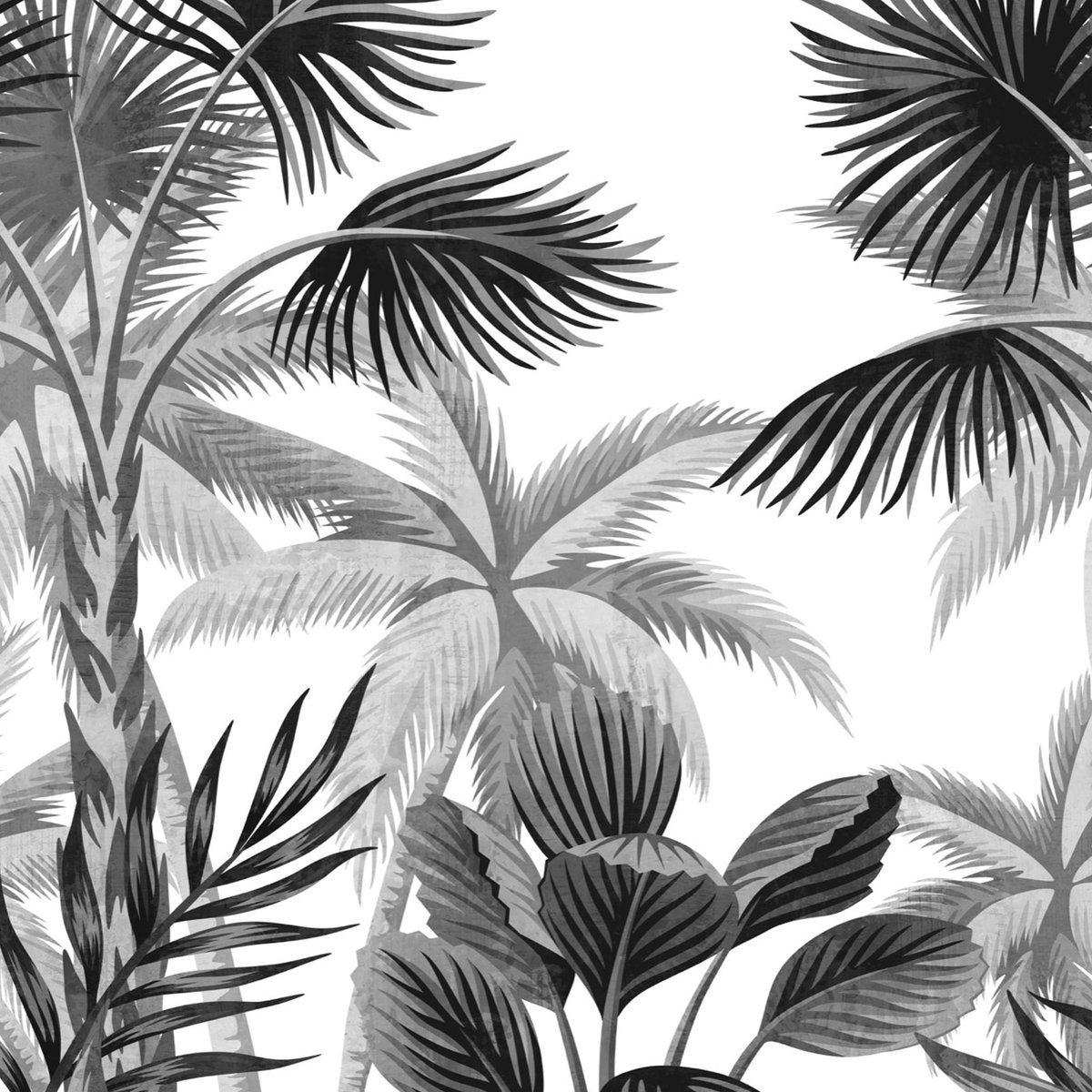 Papier peint palmae noir et blanc noir et blanc, HEXOA