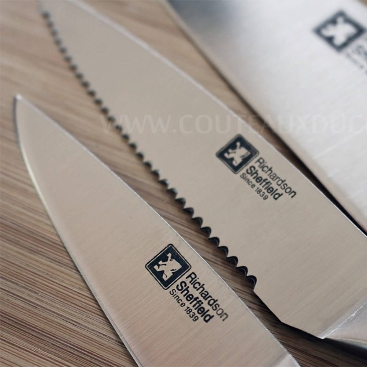 Bloc Bamboo 5 couteaux de cuisine - FORME argent, RICHARDSON SHEFFIELD