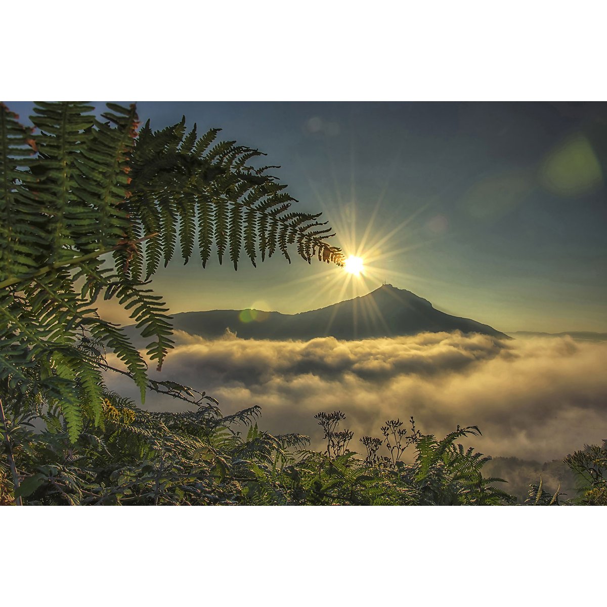 Tableau soleil sur la rhune tableau alu dibond, HEXOA
