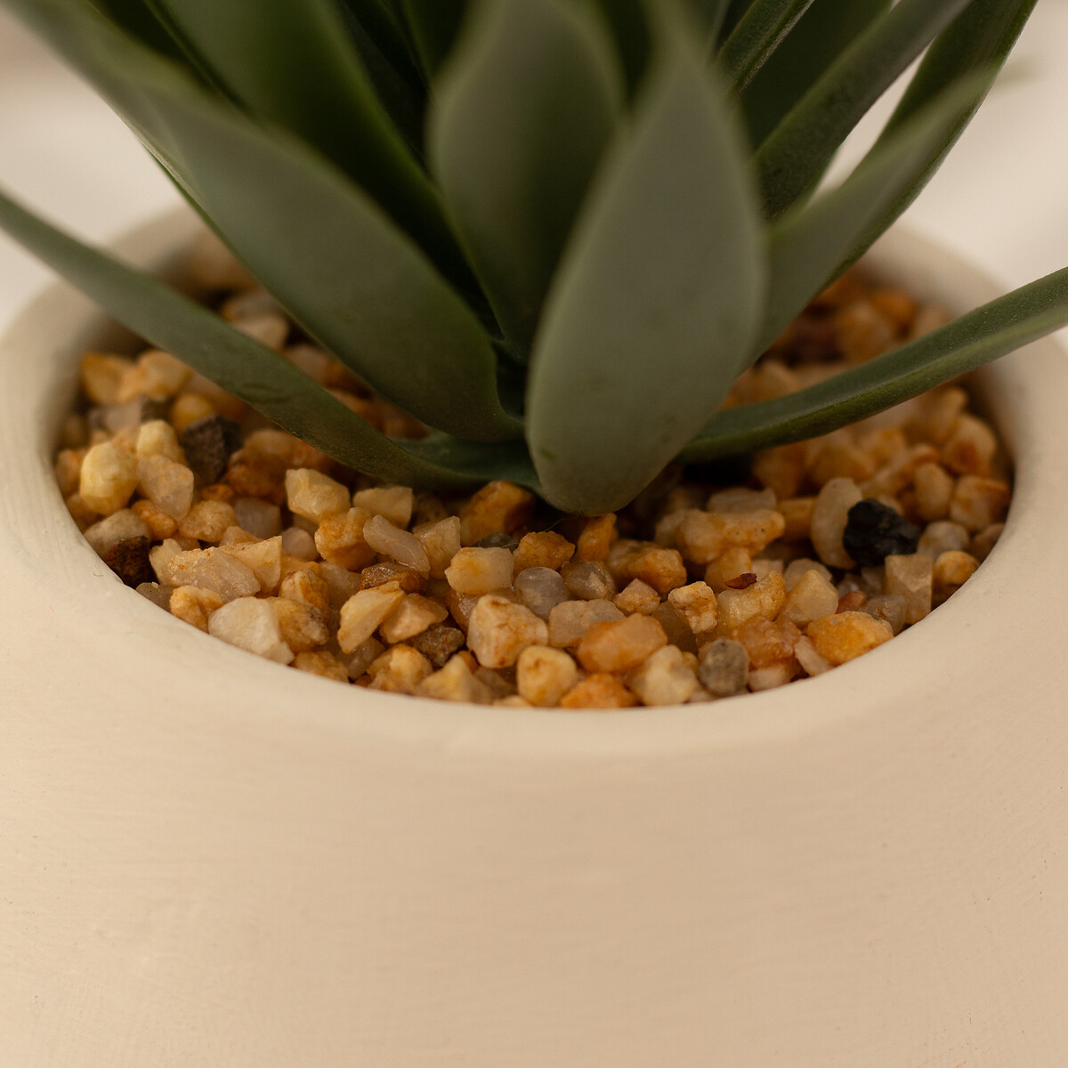 Set of 3 15cm Succulents in Cement Pot green, SO'HOME