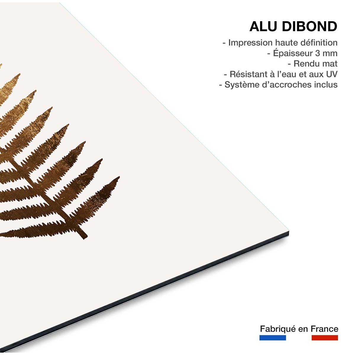 Tableau fleurs Fougere d'or tableau alu dibond, HEXOA