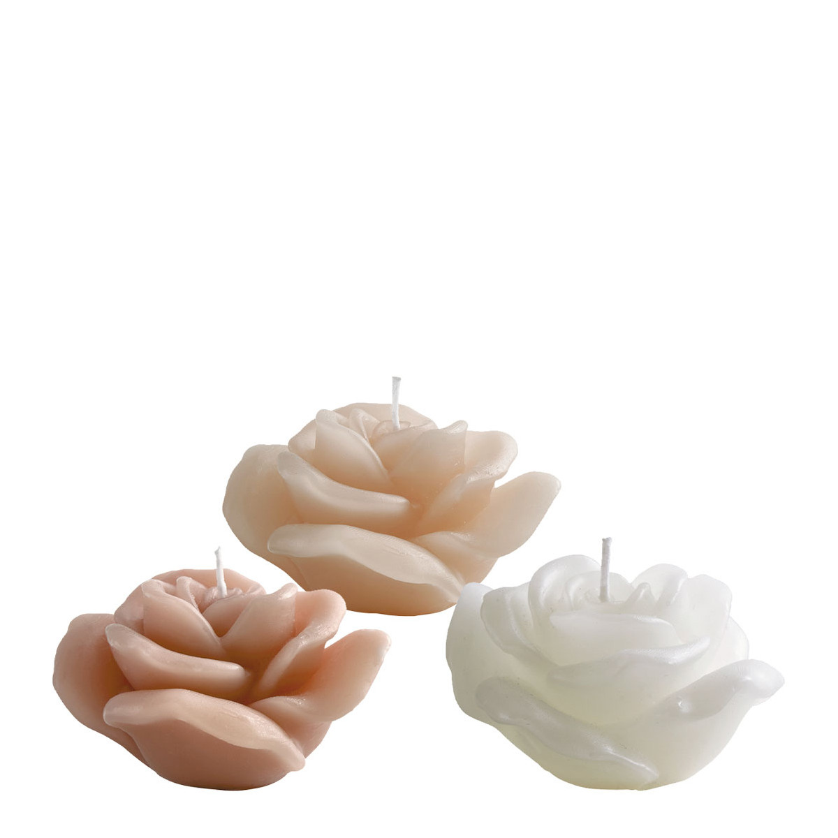 Set de 6 bougies décoratives parfumées Rose multicolore, MATHILDE M
