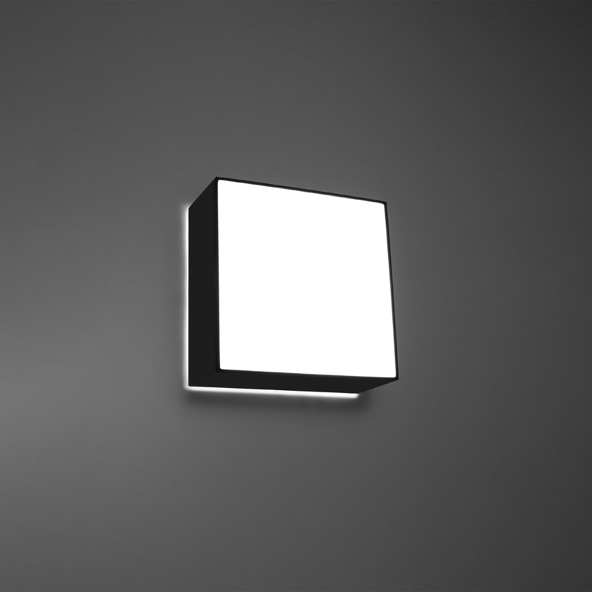 Plafonnier PVC Noir E27 1 Horus noir, EDEN
