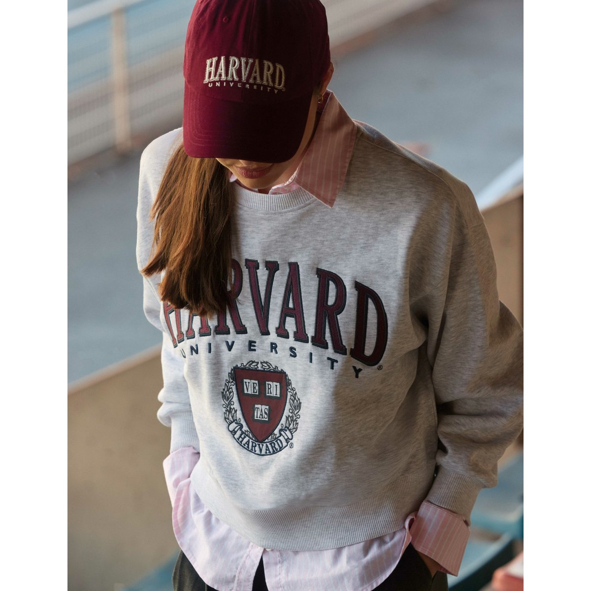 Sweat licence harvard gris clair, BZB