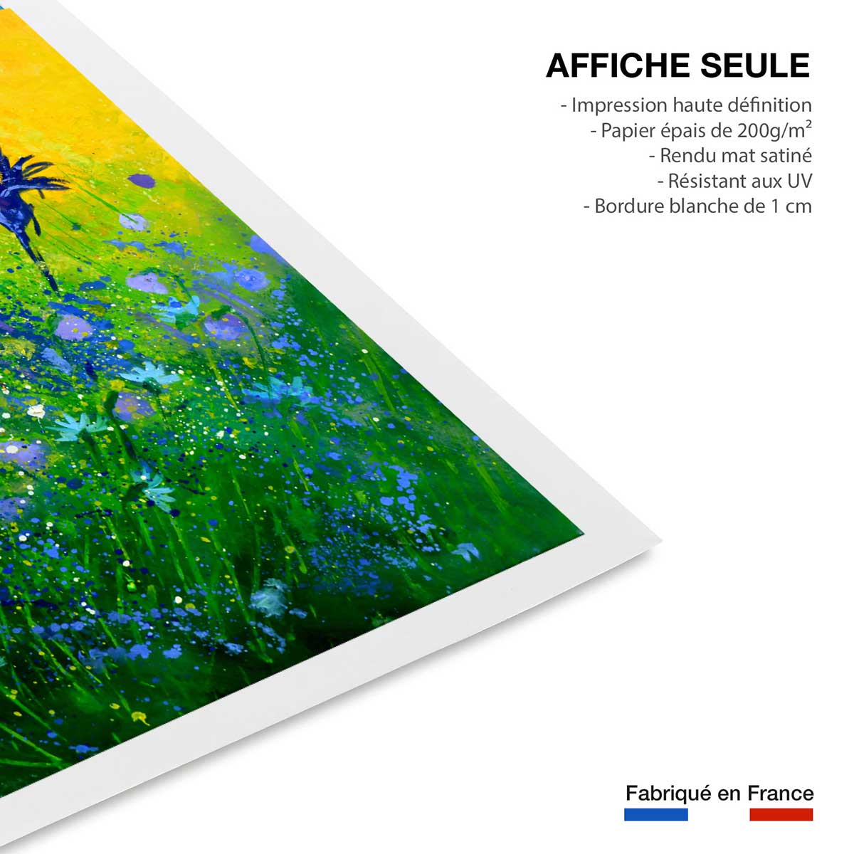 Affiche bouquet de bleues affiche seule, HEXOA