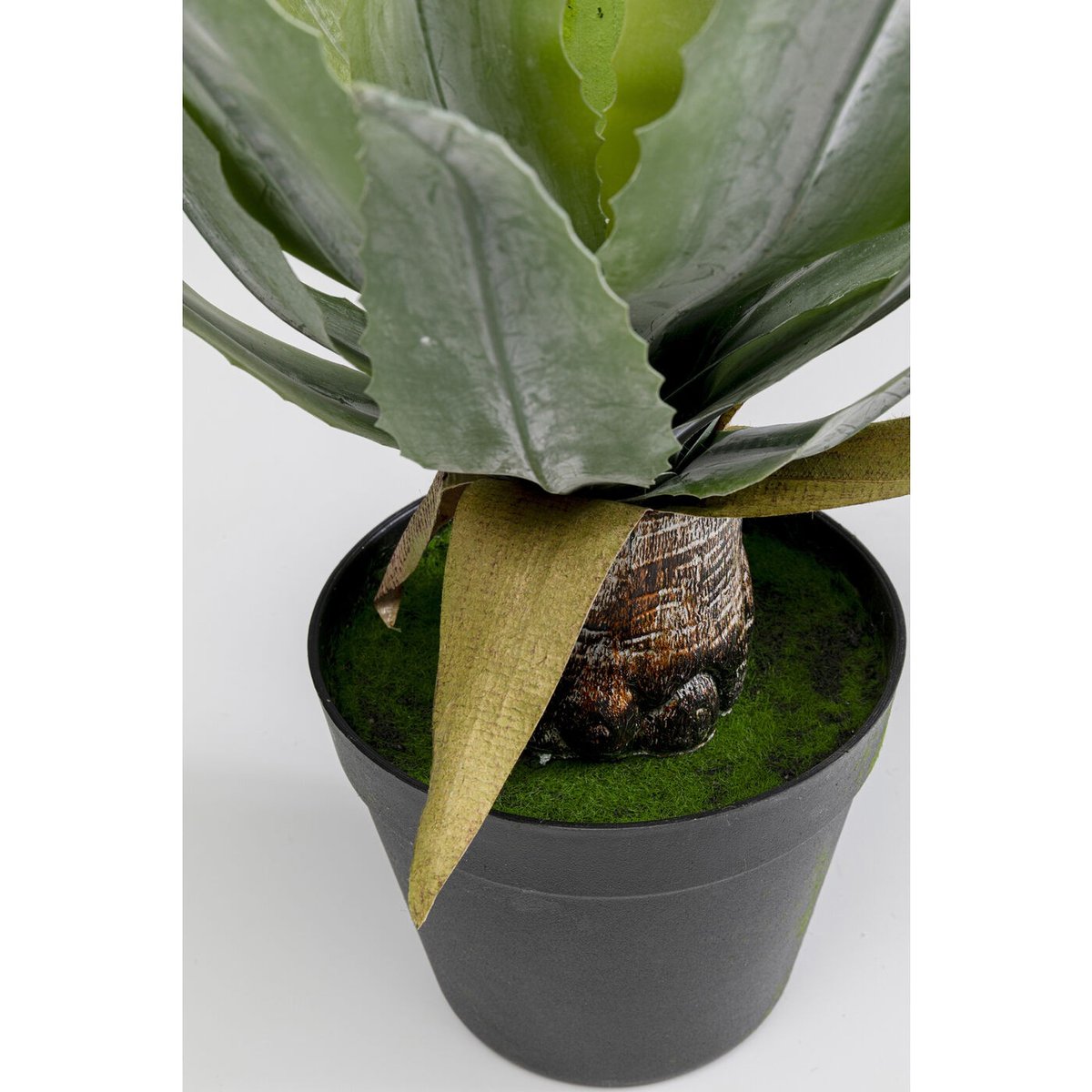 Plante décorative agave vert, KARE DESIGN