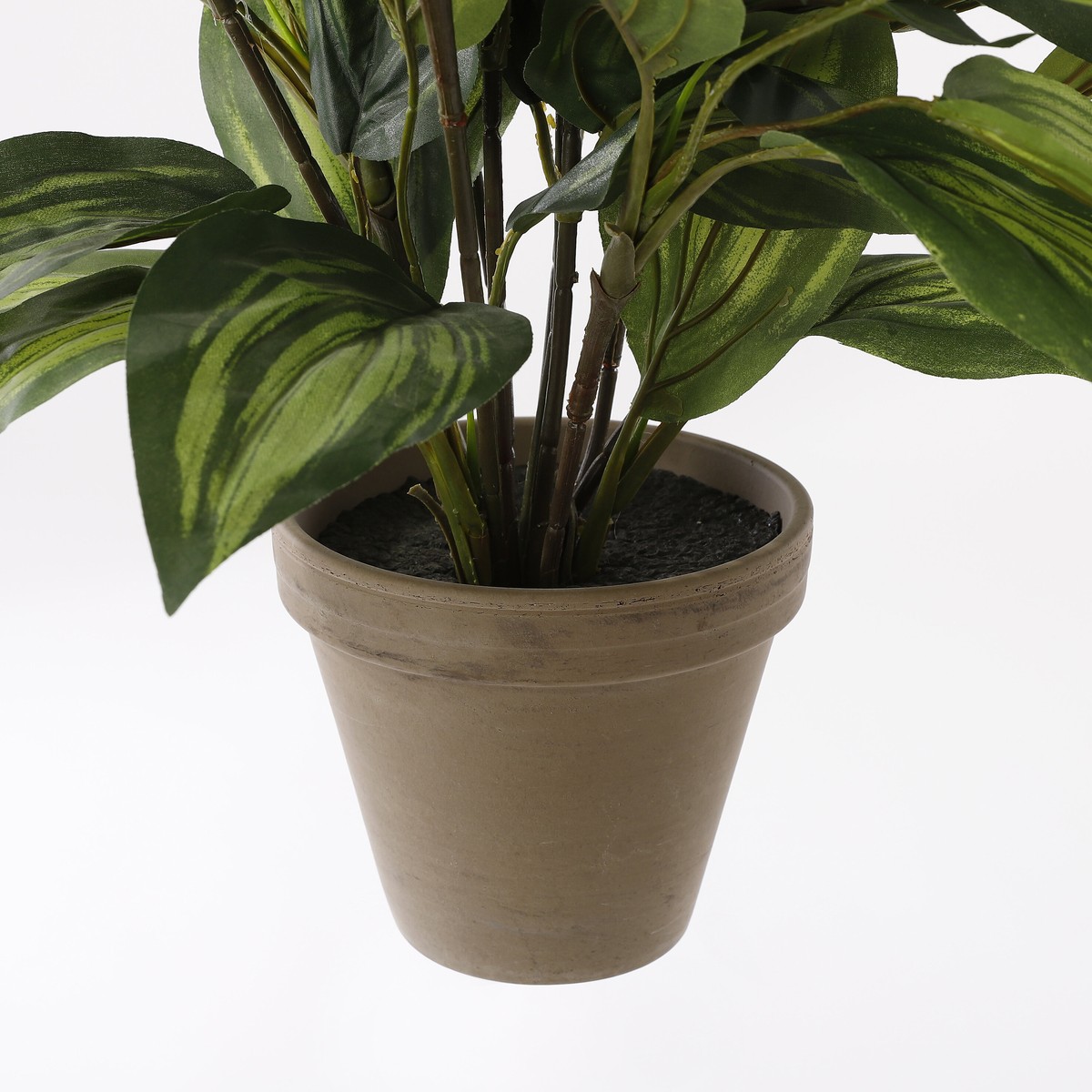 Plante artificielle HOSTA vert, MICA DECORATIONS