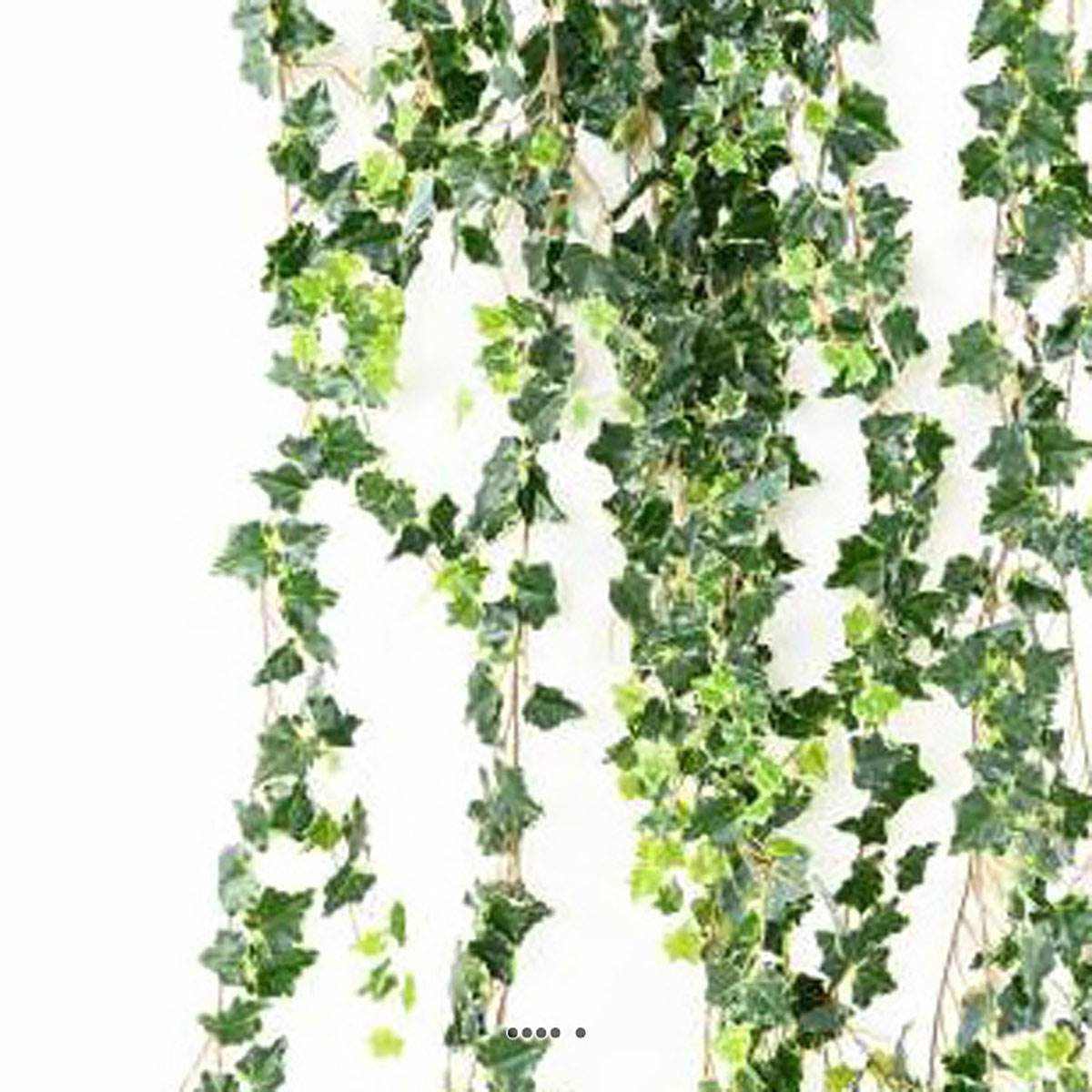 Superbe chute de lierre géante L 200 cm l 50 vert, ARTIFICIELLES