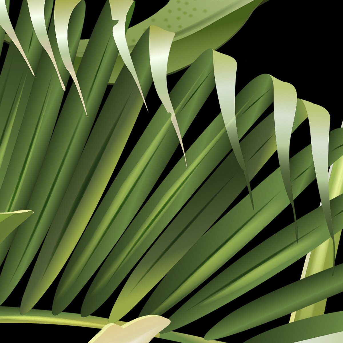 Papier peint panoramique GUYANA vert, LE PAPIERS DE NINON