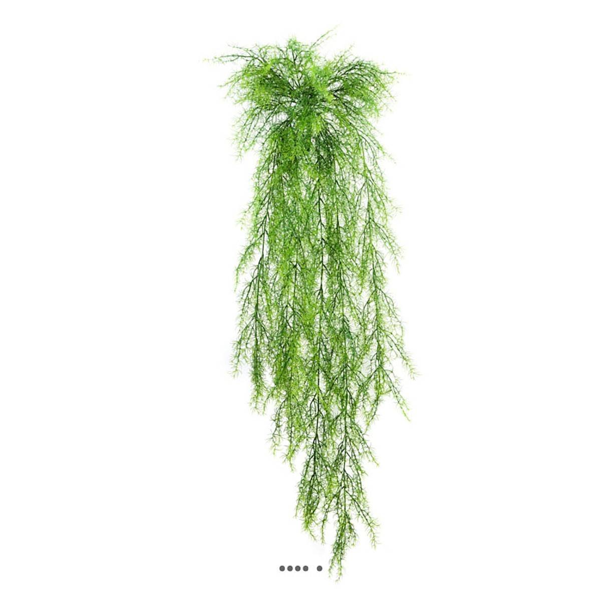 Chute d'asparagus sprengeri artifi v002239, ARTIFICIELLES