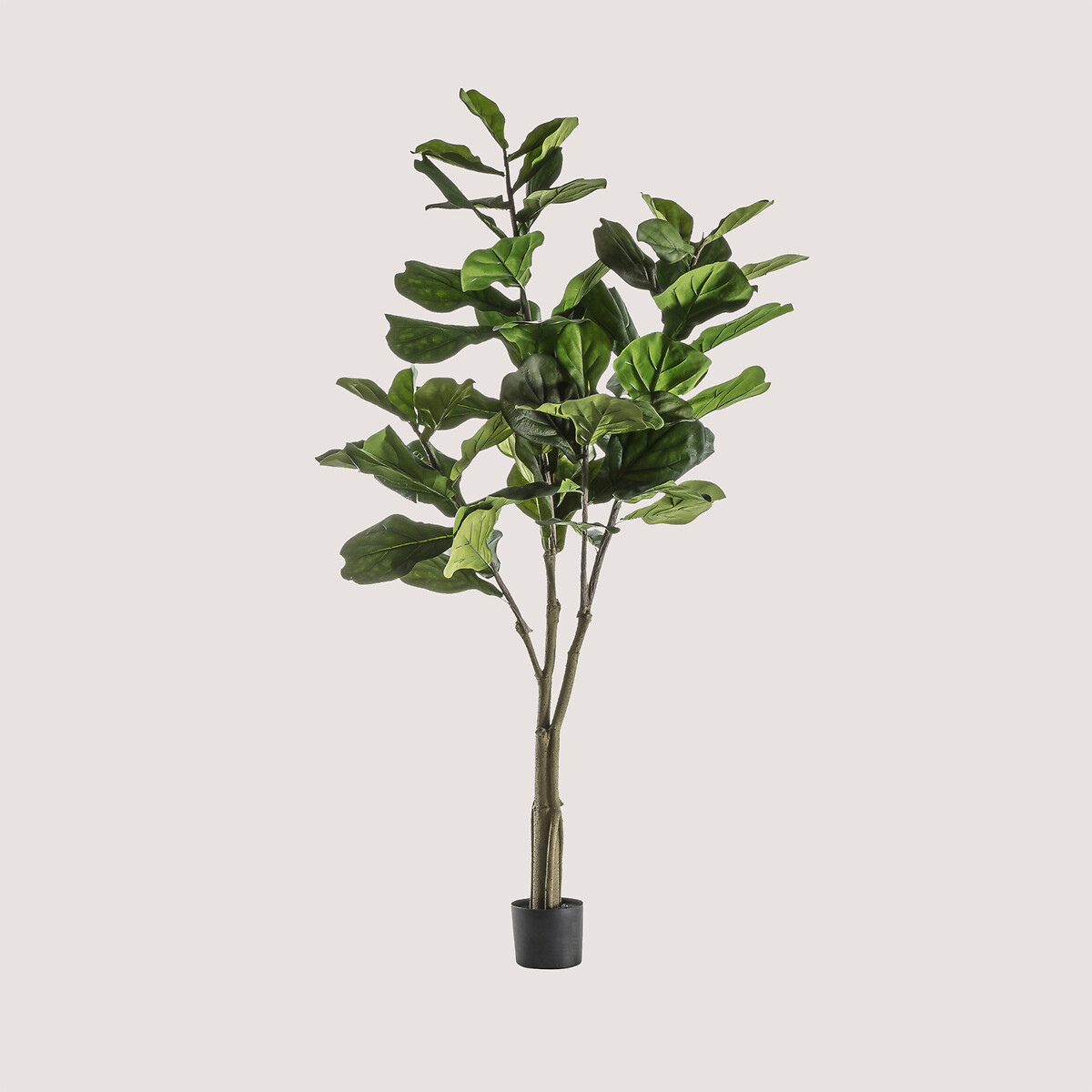 120cm Artificial Fiddle Tree green, ÉDITÉ