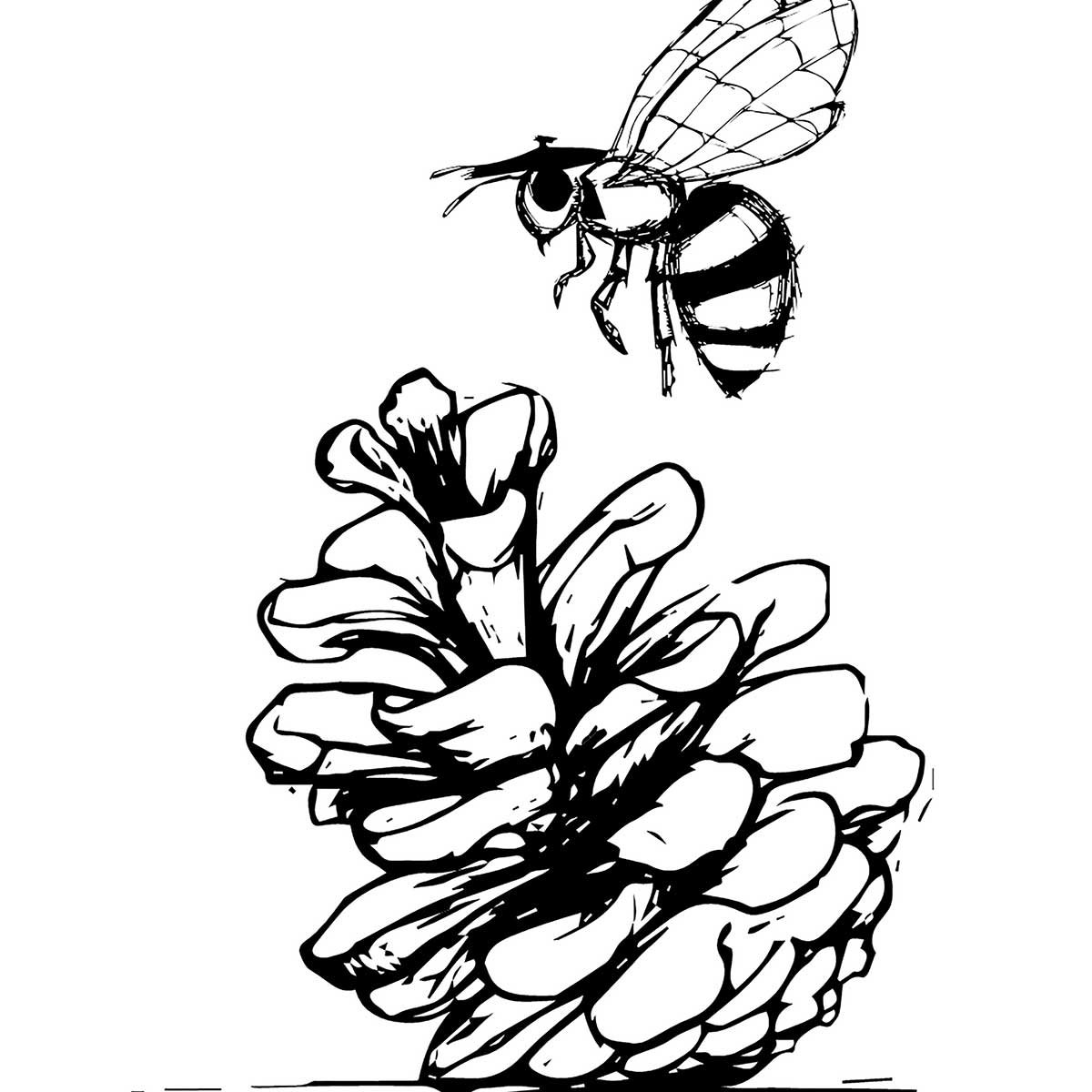 Poster pomme de pins et abeille affiche + cadre en bois - noir, HEXOA