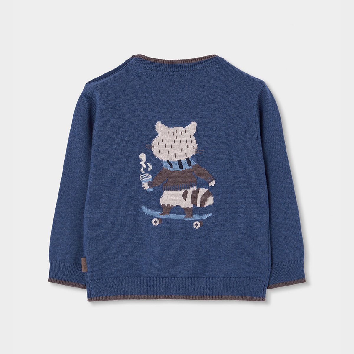 Pull garçon imprimé raton laveur skater bleu, BOBOLI