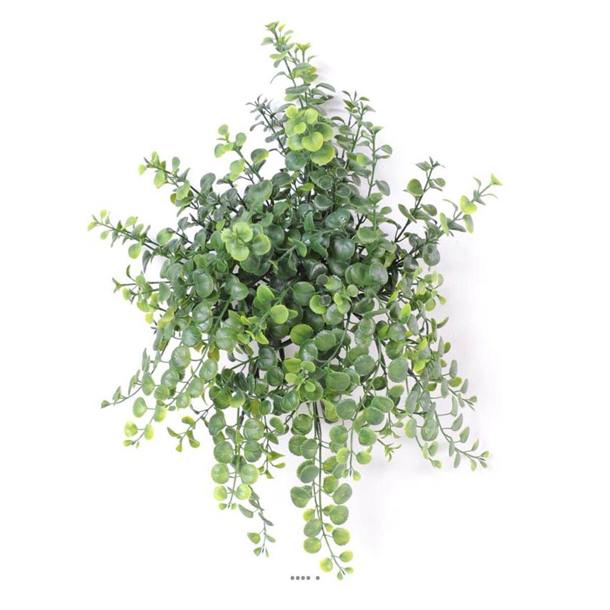 Peperonia artificiel en chute H 40 cm petites v002239, ARTIFICIELLES