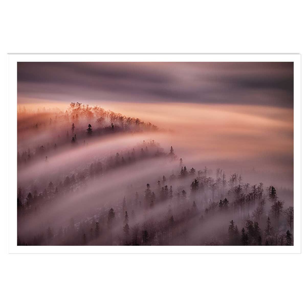 Poster ciel violet au matin affiche seule, HEXOA