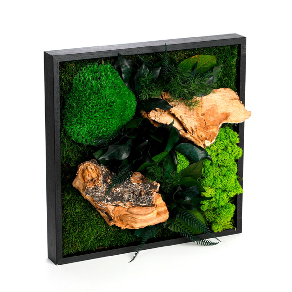 Tableau végétaux stabilisés 35x35cm multicolore, NATURE ET DECOUVERTES
