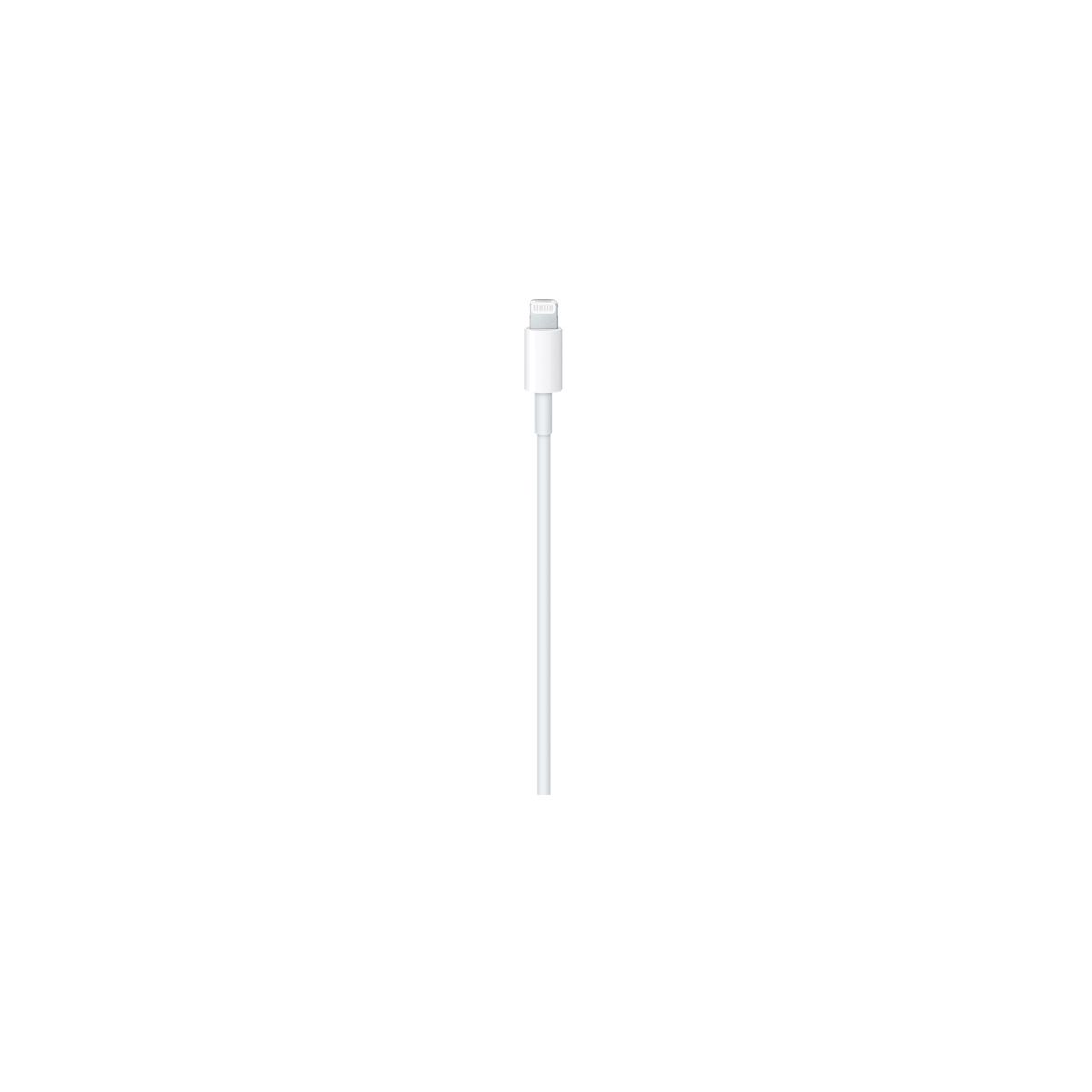 Câble Lightning USB-C vers lightning 1m couleur unique, APPLE