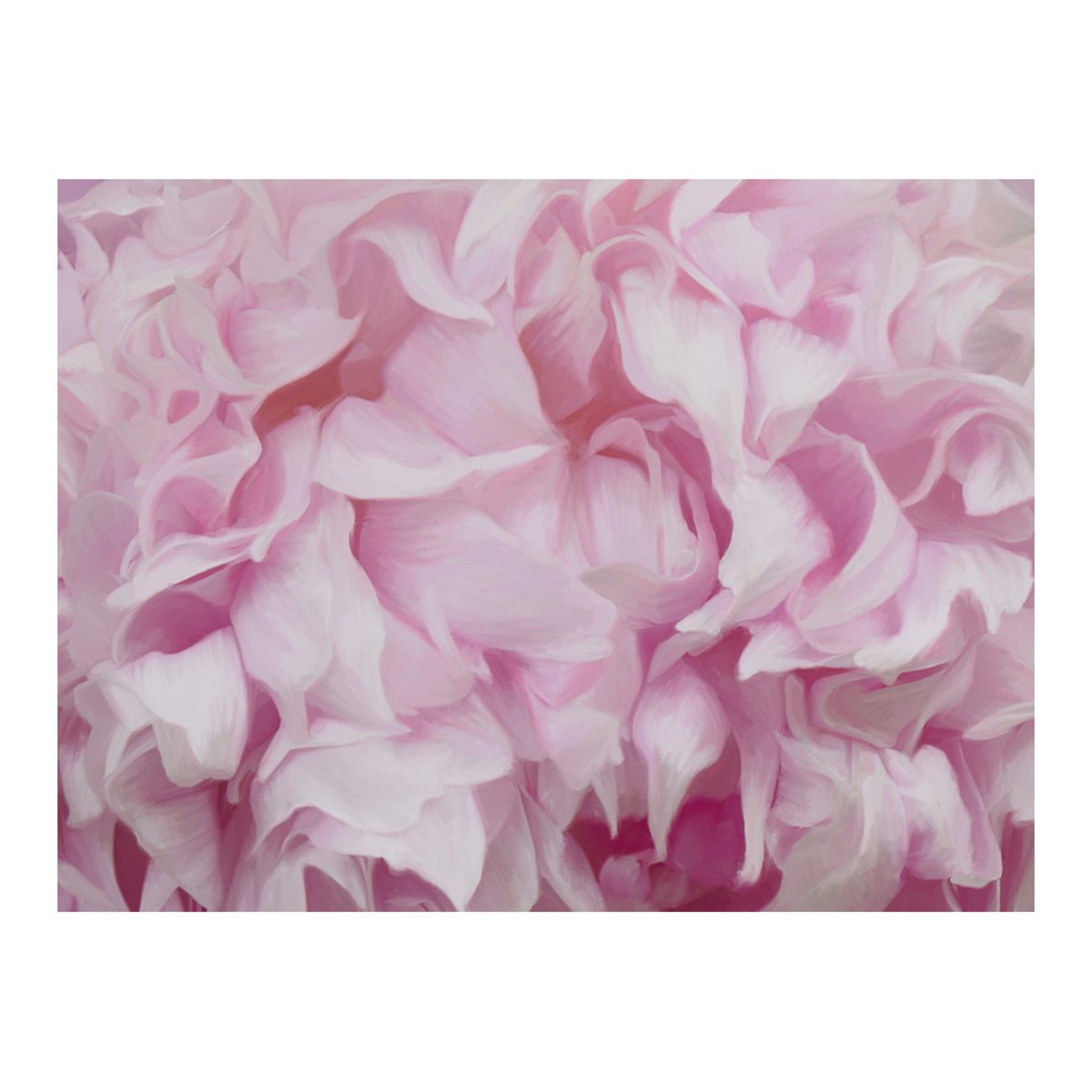Papier peint intissé panoramique Fleurs azalée (rose) rose, EDEN