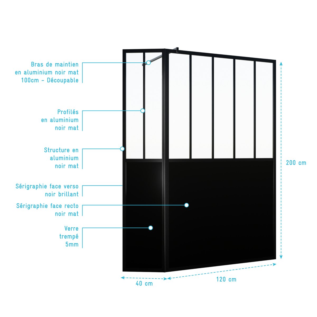 Paroi de douche verrière avec volet pivotant en verre trempé 5 mm noir, HOME MAISON