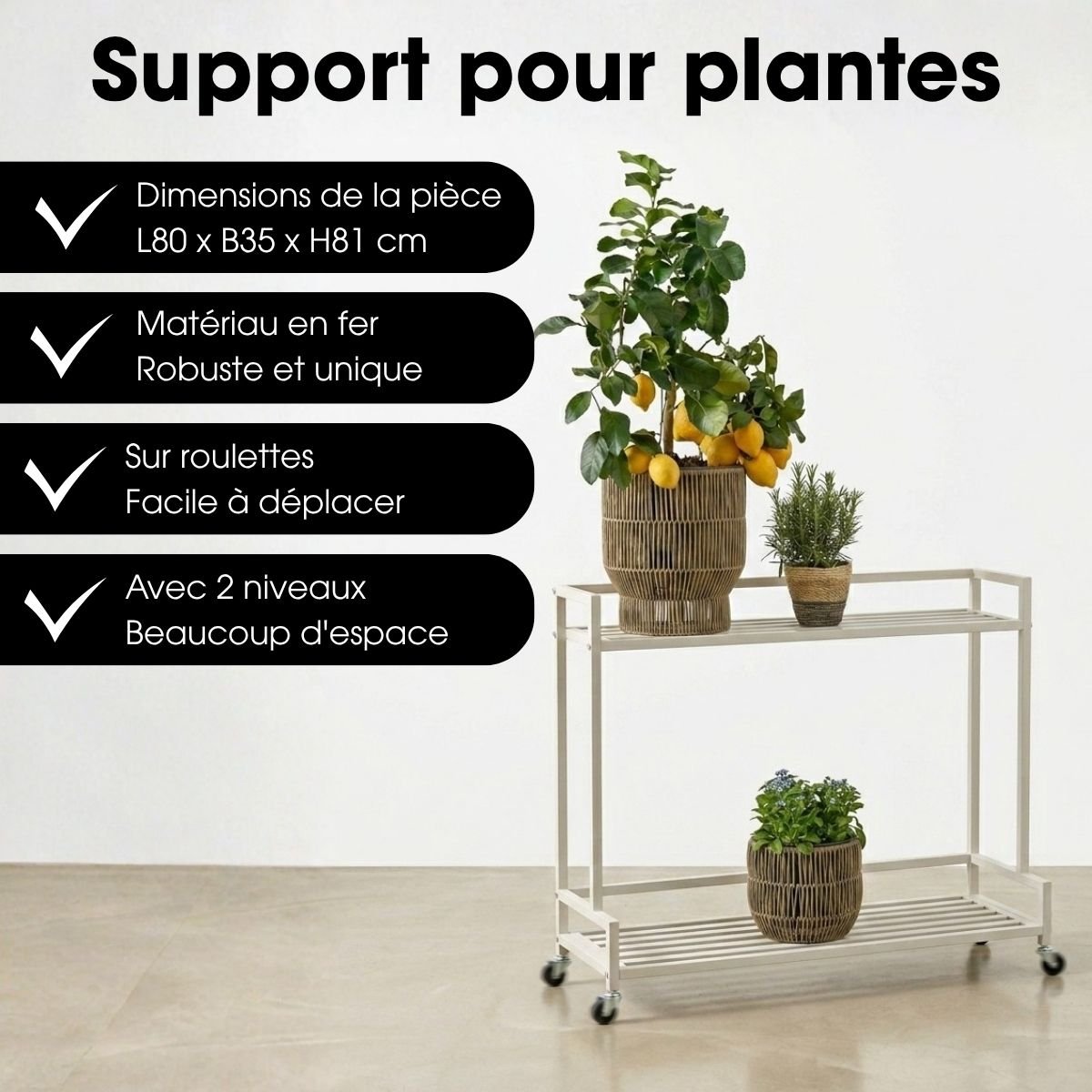 Support pour plantes GREENRAX blanc cassé, MICA DECORATIONS
