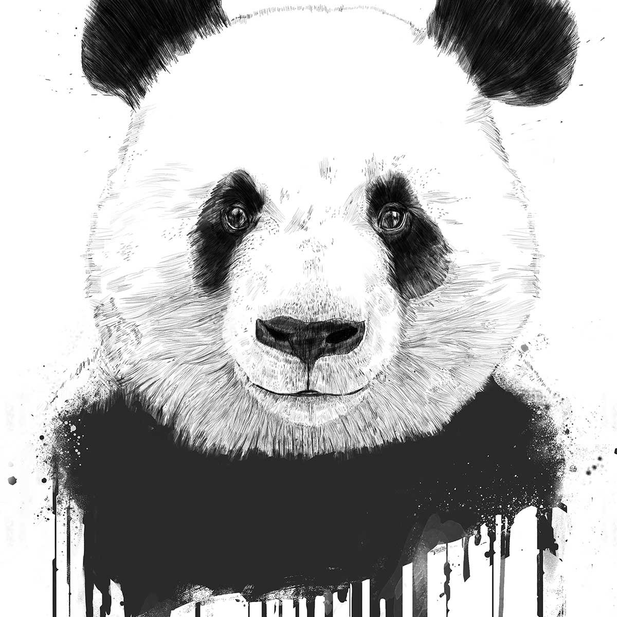 Affiche enfant panda flux affiche seule, HEXOA