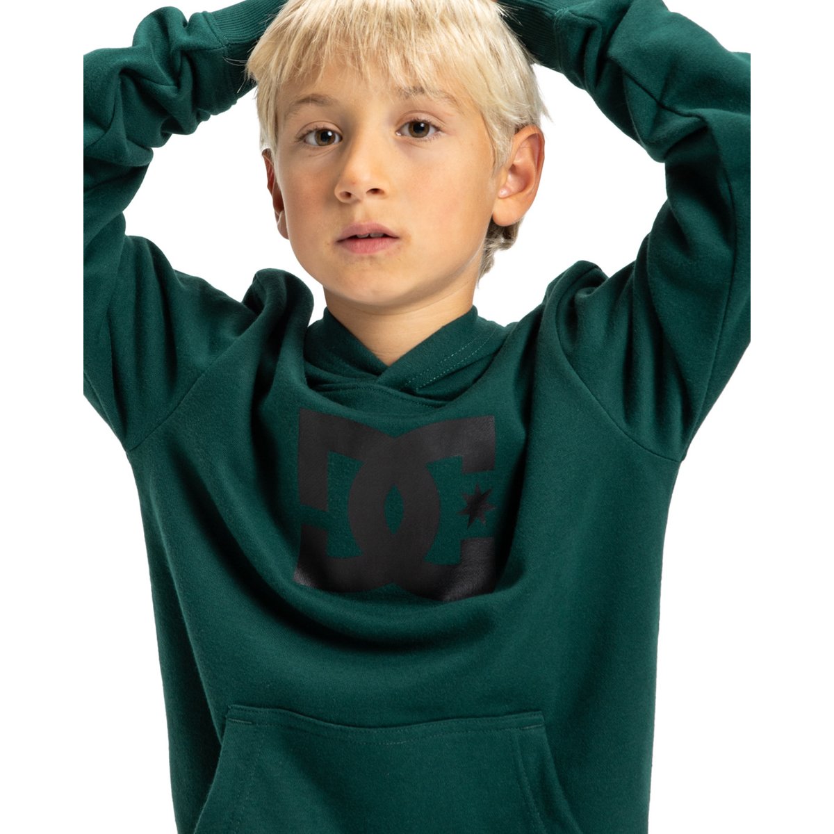 Sweat à capuche. vert ponderosa pine, DC SHOES