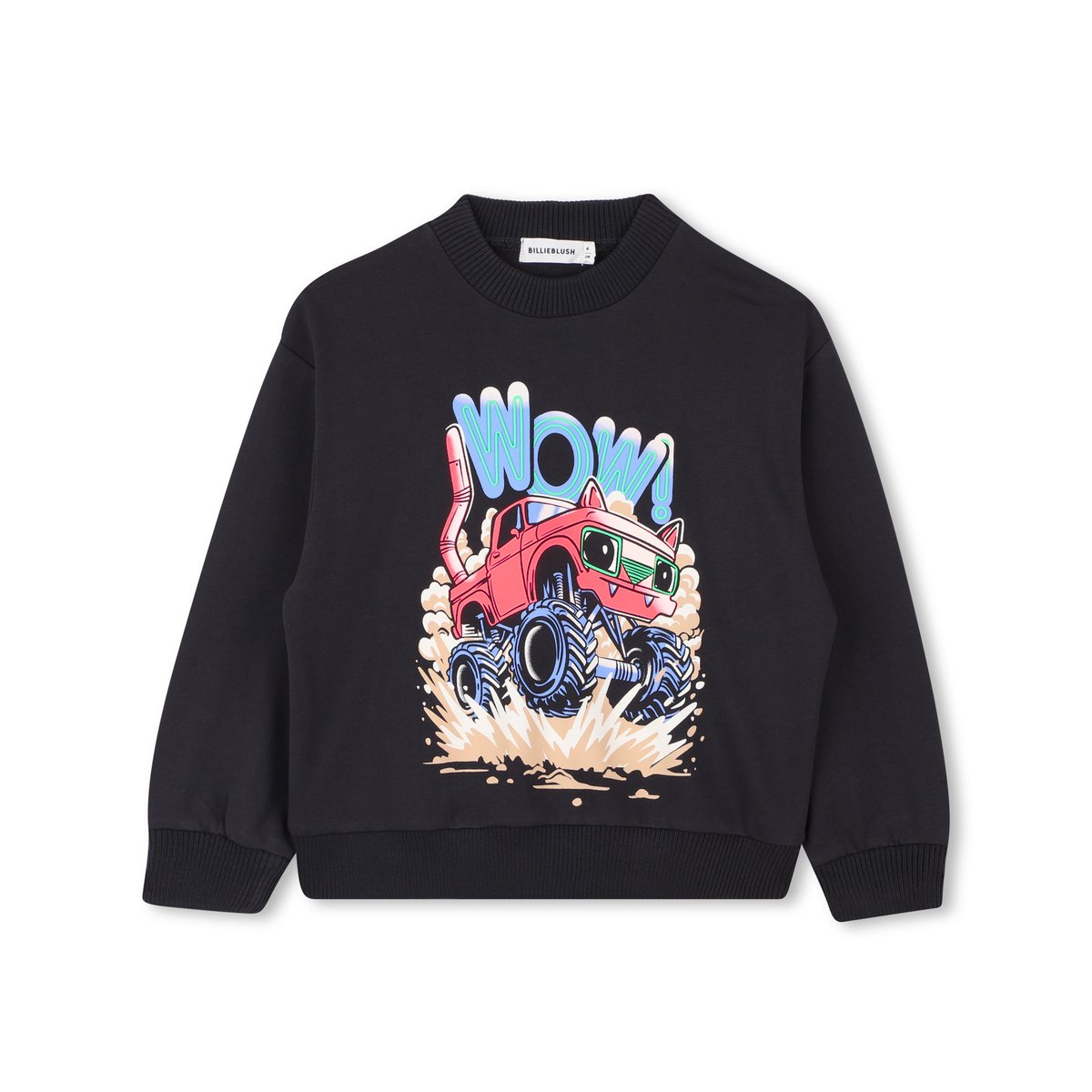 Sweat en polaire dark grey, BILLIEBLUSH