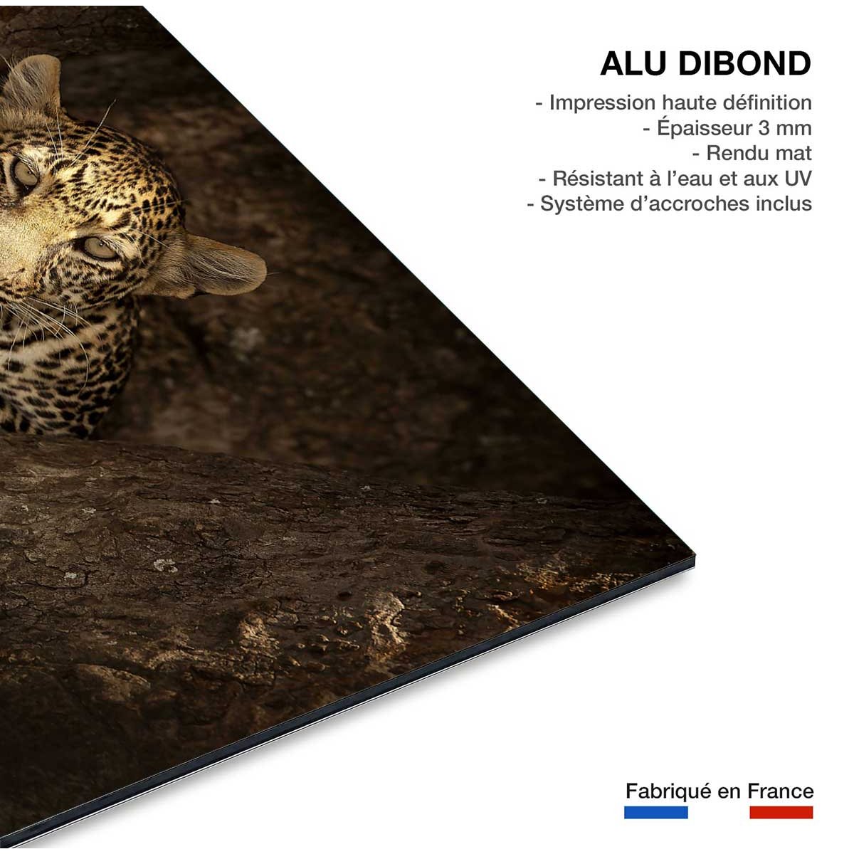 Tableau masai léopard tableau alu dibond, HEXOA