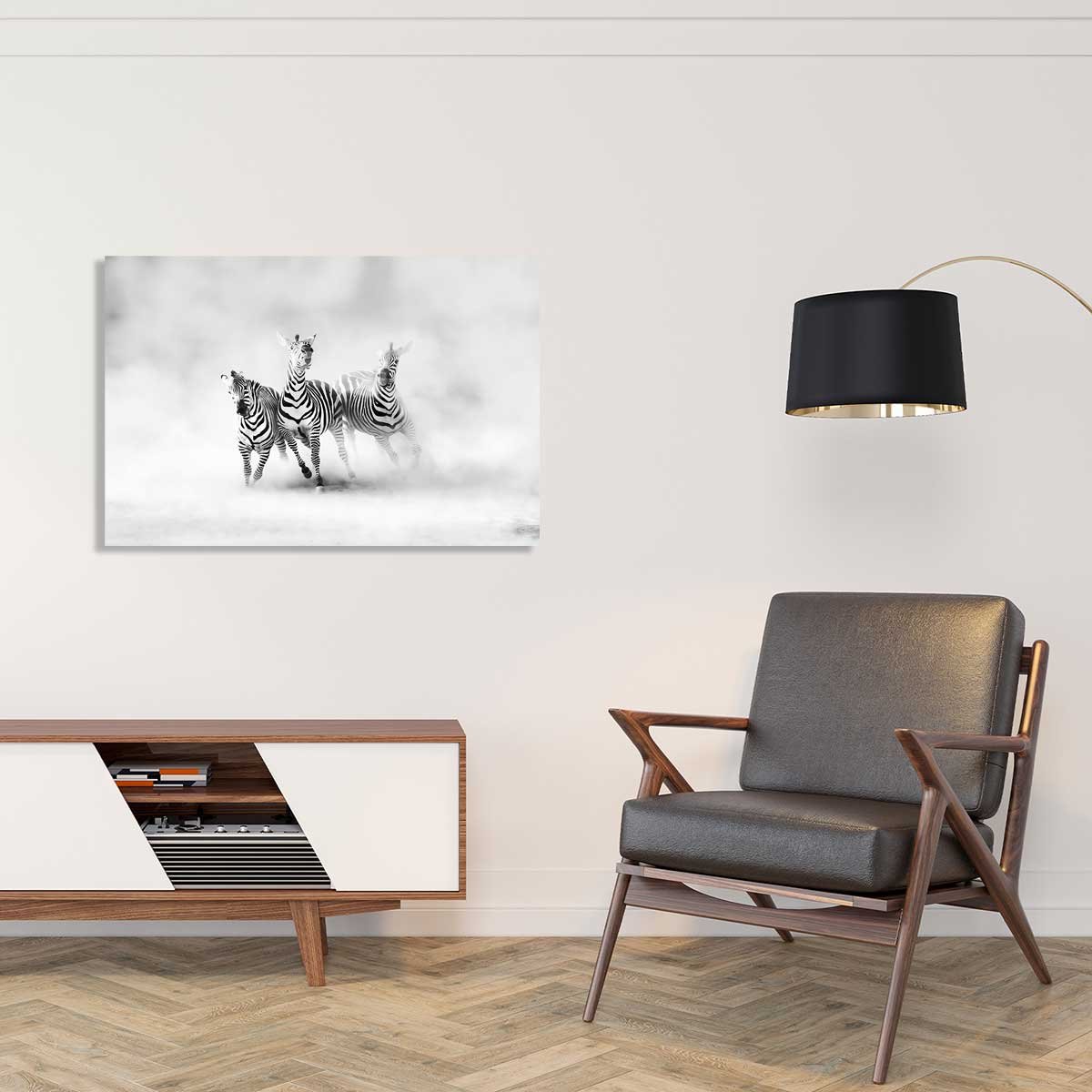 Tableau animaux racing stripes tableau alu dibond, HEXOA