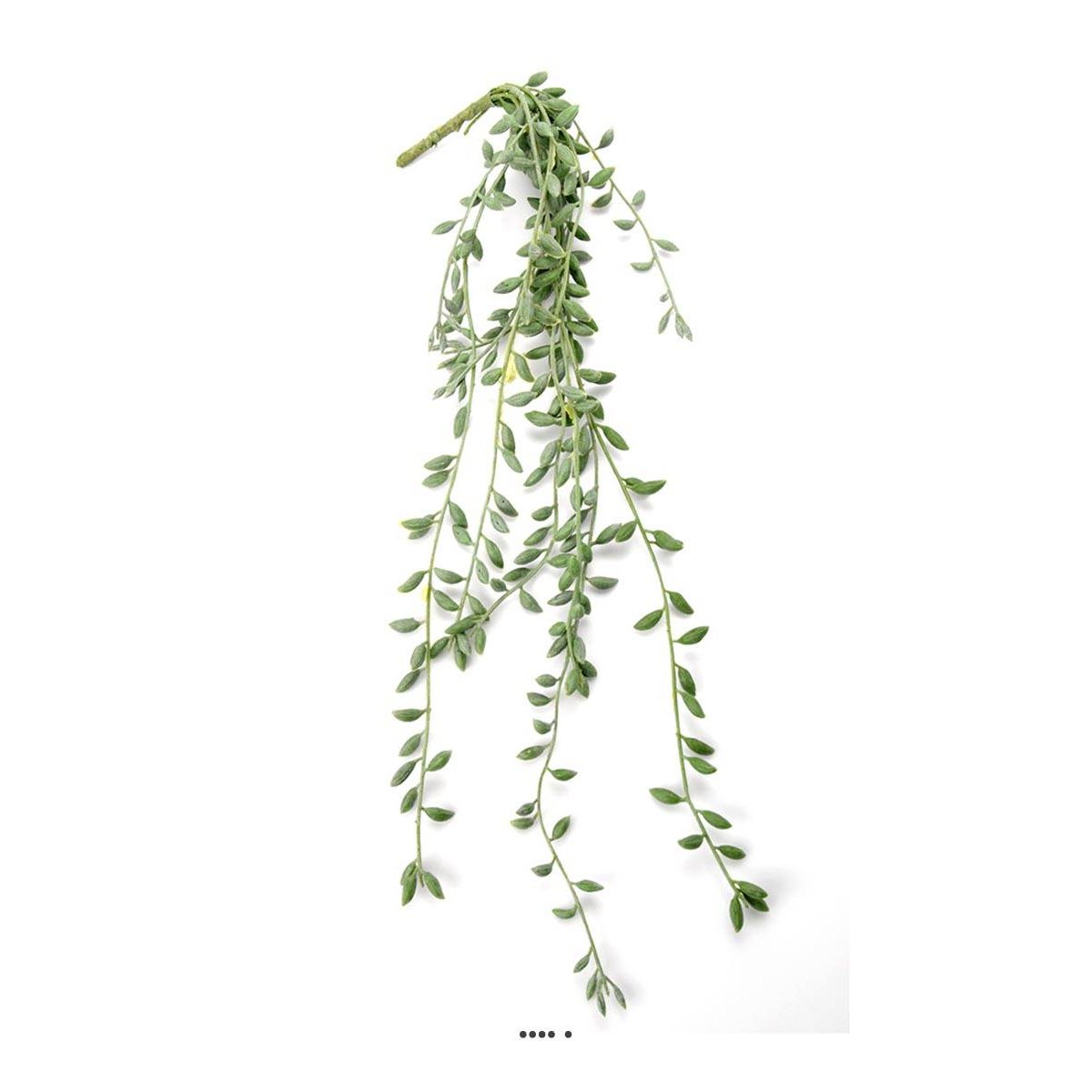 Chute de Senecio artificiel, L 52 cm, D 15 v002239, ARTIFICIELLES
