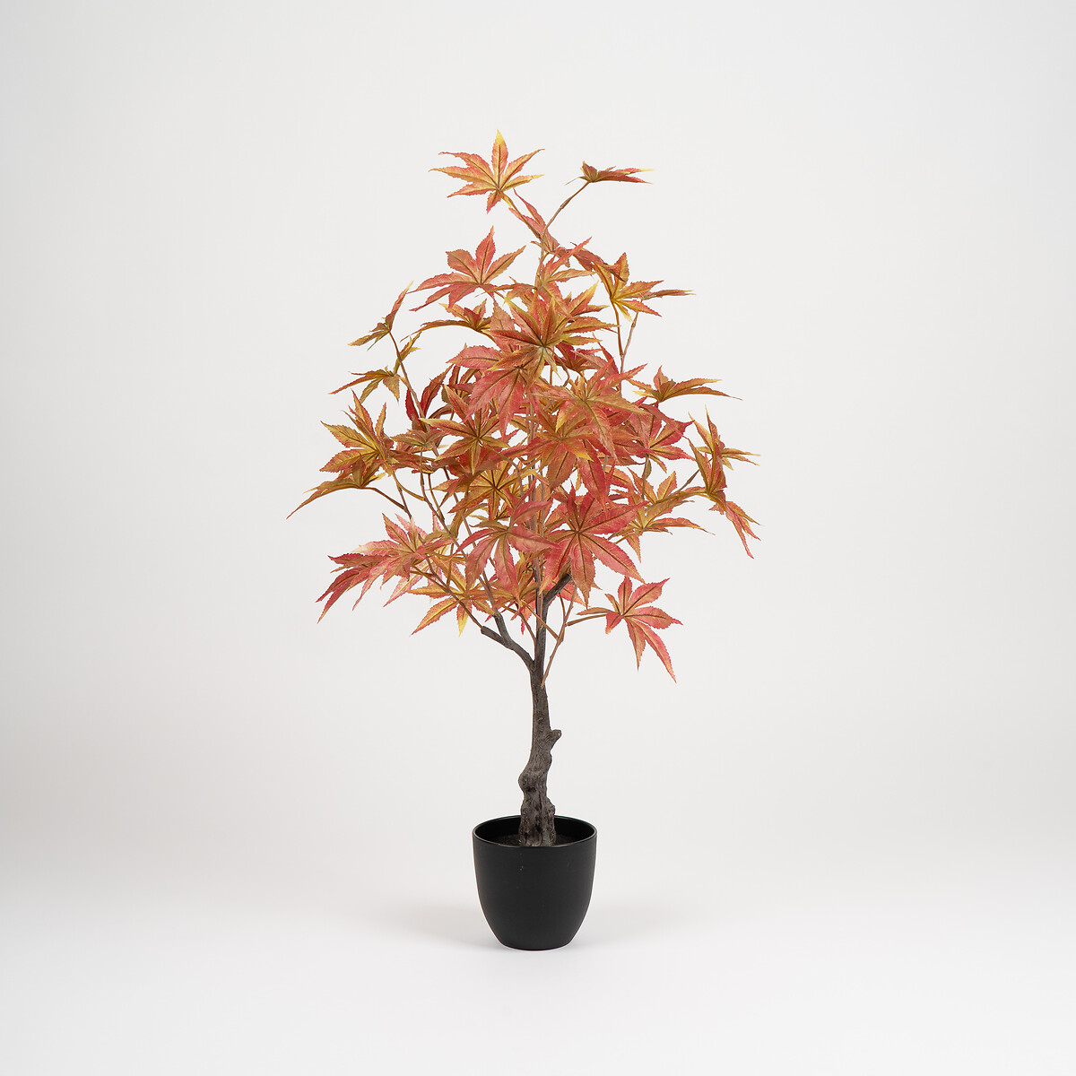 90cm Red Acer Tree red, SO'HOME