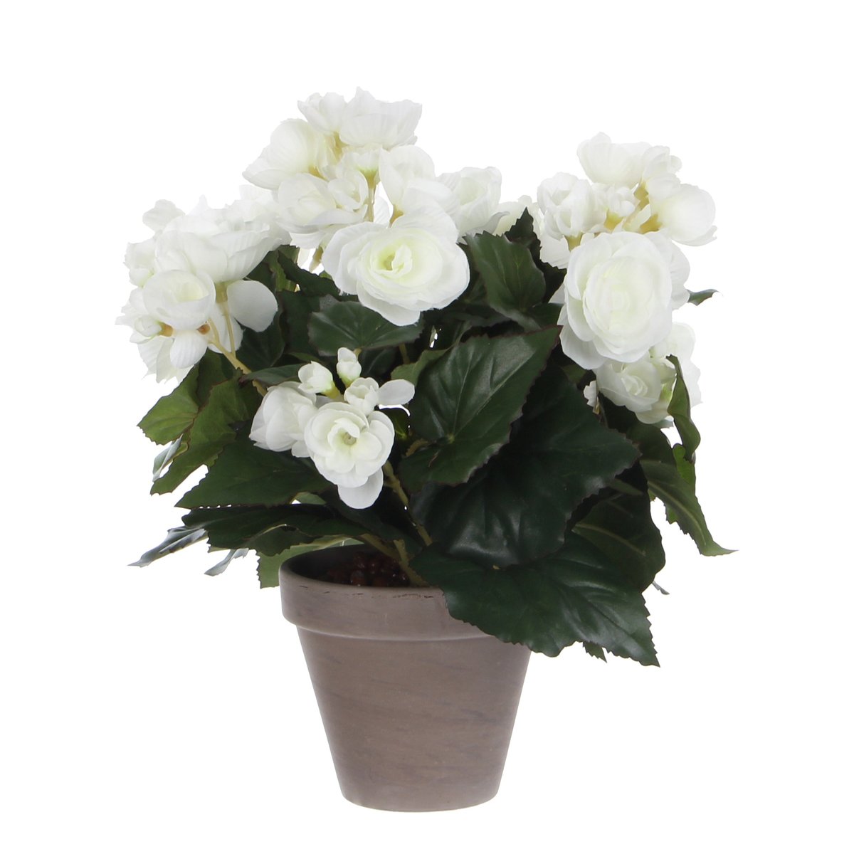 Plante artificielle BEGONIA blanc, MICA DECORATIONS