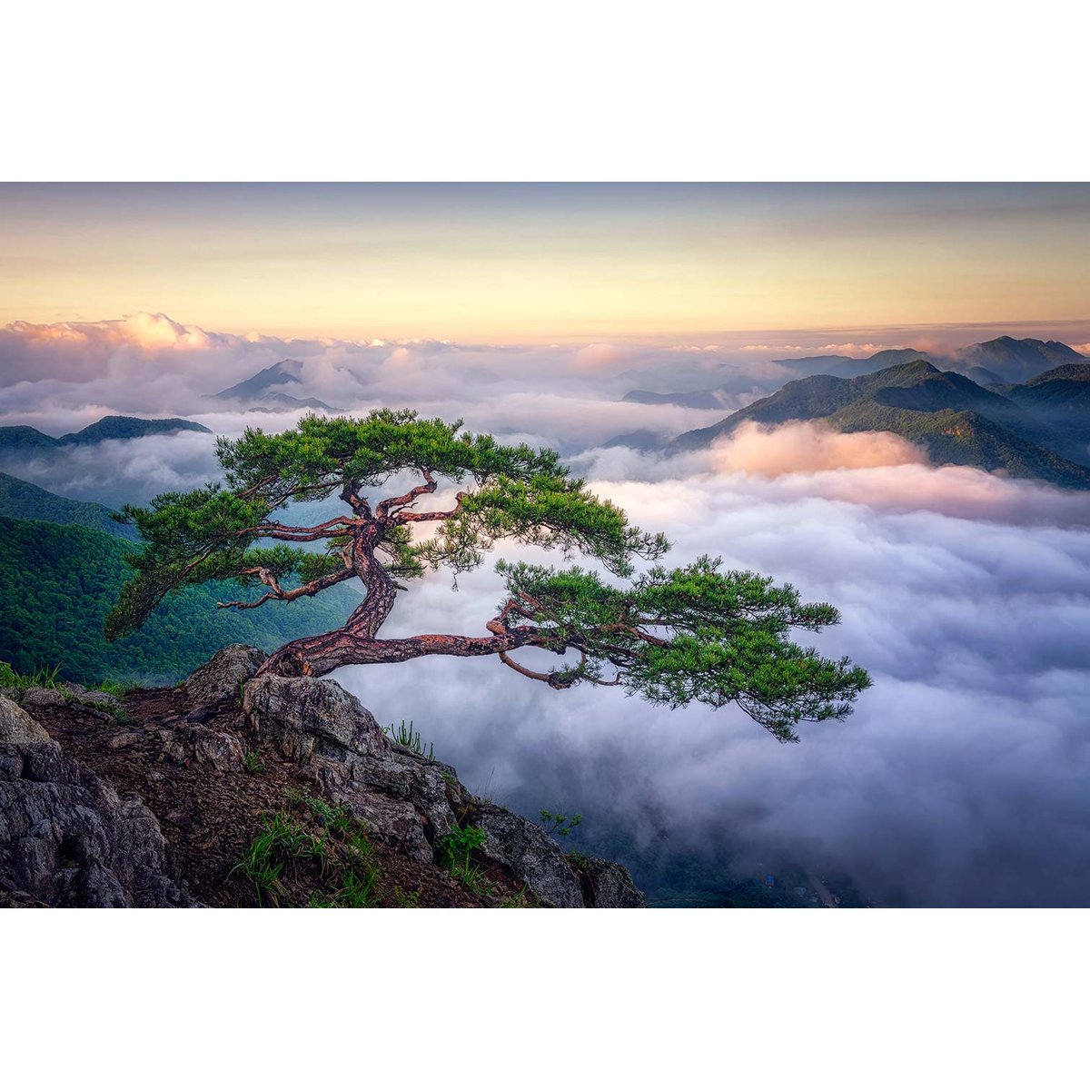 Tableau paysage sur le rocher tableau alu dibond, HEXOA